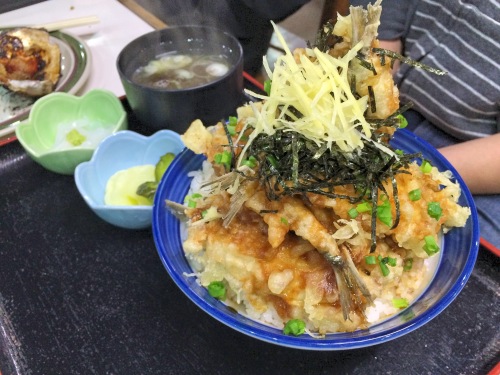 iwashi don