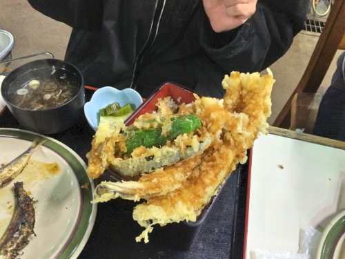 tendon