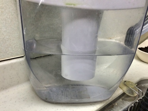 浄水ポットの水