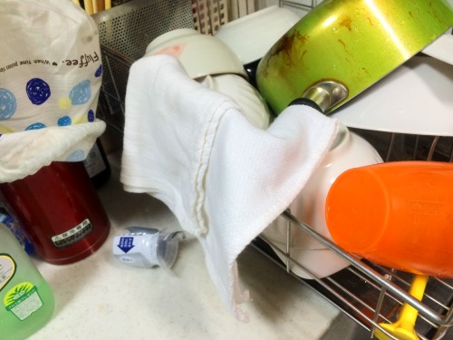 ふきんを干さないと菌が心配