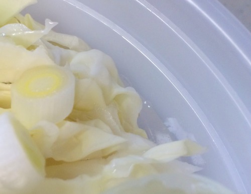 水は器の線より１cm程度したまで