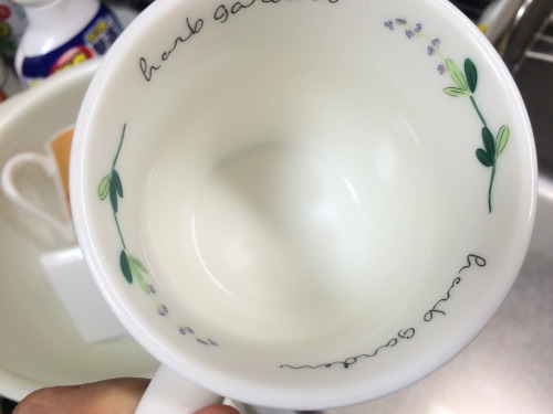 カップの中まで茶渋がなく真っ白