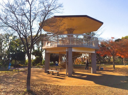ペンギンに会える動物園、そして桜の花見の無料スポット！川崎市・夢見ヶ崎動物公園は意外に凄かった
