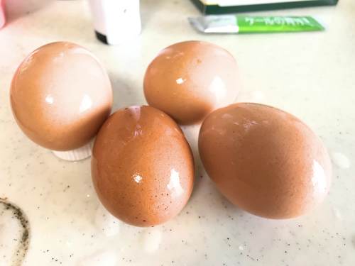 長崎県松浦市のふるさと納税『旬のお野菜＋産みたて濃厚玉子』玉子