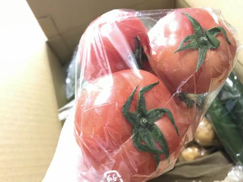 長崎県松浦市のふるさと納税『旬のお野菜＋産みたて濃厚玉子』とまと