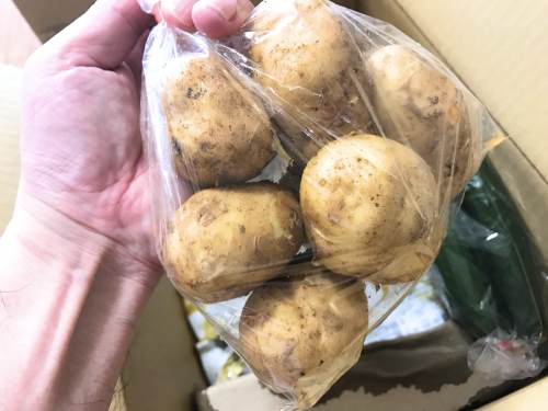 長崎県松浦市のふるさと納税『旬のお野菜＋産みたて濃厚玉子』じゃがいも