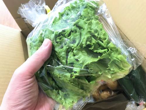 長崎県松浦市のふるさと納税『旬のお野菜＋産みたて濃厚玉子』サンチェ