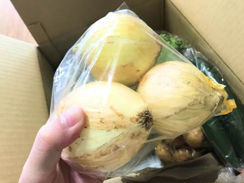 長崎県松浦市のふるさと納税『旬のお野菜＋産みたて濃厚玉子』タマネギ