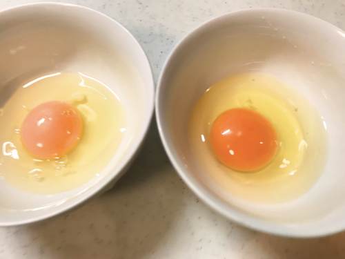 長崎県松浦市のふるさと納税『旬のお野菜＋産みたて濃厚玉子』の玉子とスーパーの玉子を比べてみたら色が濃かった