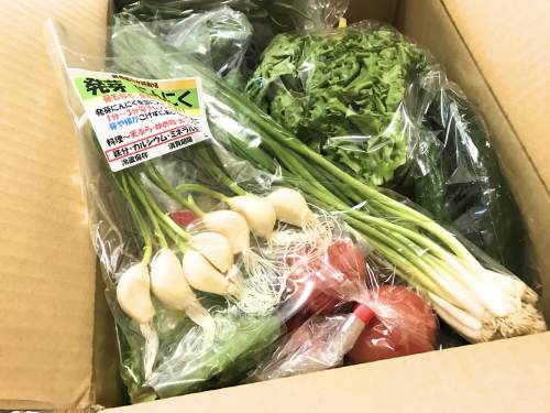 『旬のお野菜＋産みたて濃厚玉子』の大満足セット！の中身