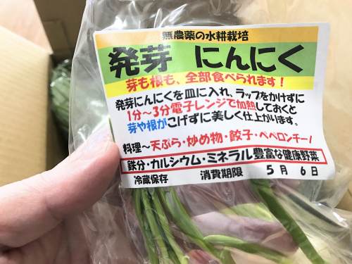 長崎県松浦市のふるさと納税『旬のお野菜＋産みたて濃厚玉子』発芽にんにく