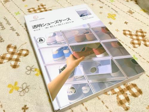 楽天市場で見つけた靴収納ケースが良さそうだった