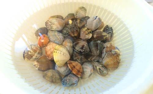 あさりの砂抜き