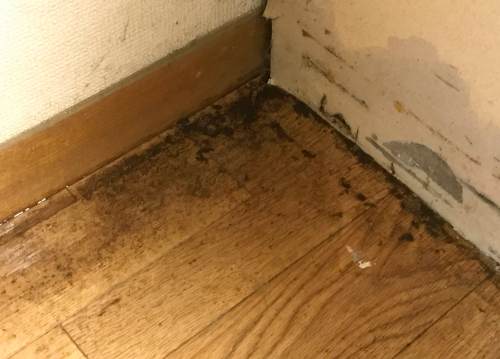 システムキッチンからの水漏れ